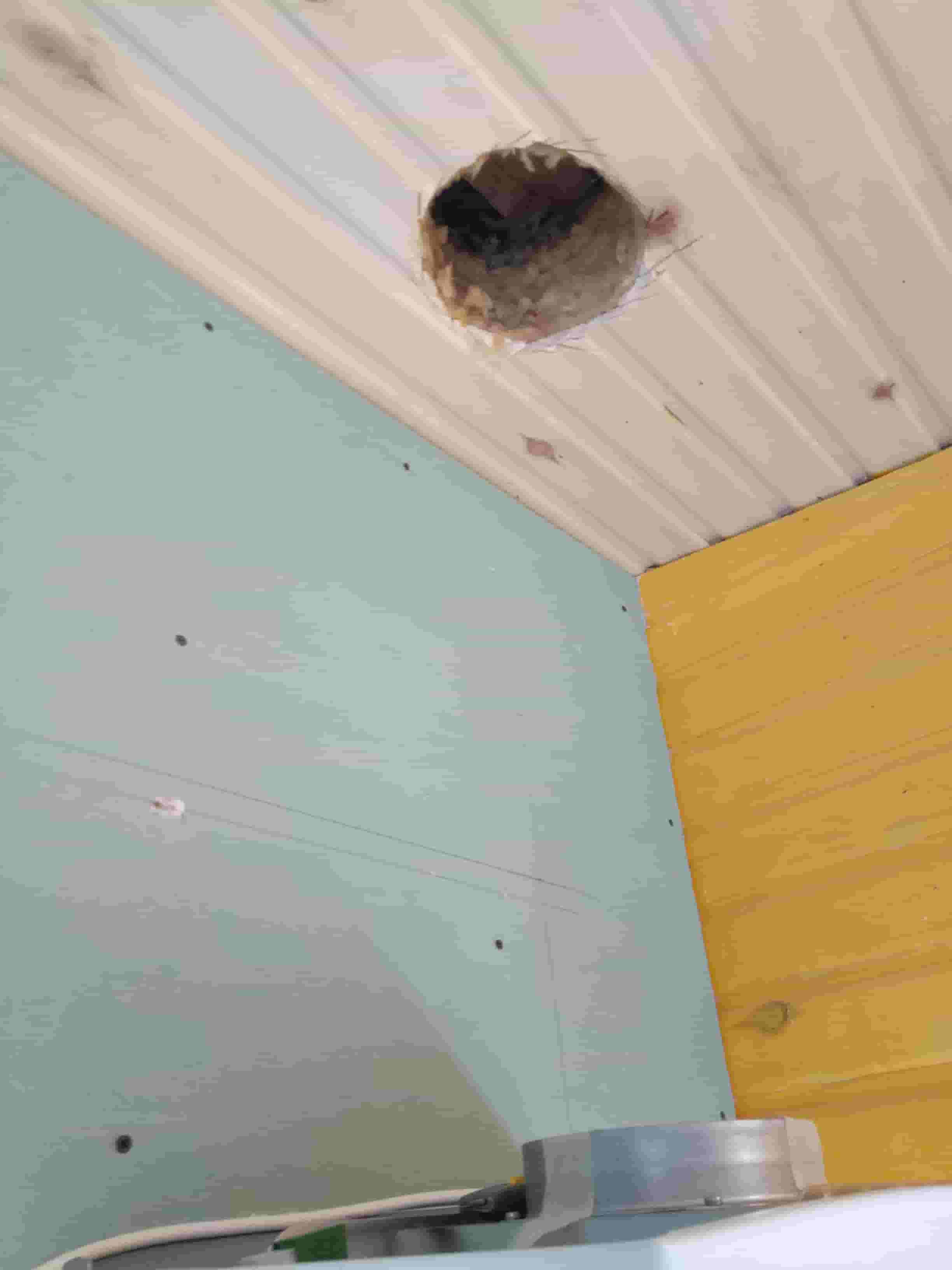 д. сельцо Раменский район